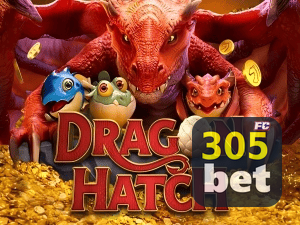 305BET PIX instantâneo Brasil - Depósito e saque em minutos 24/7